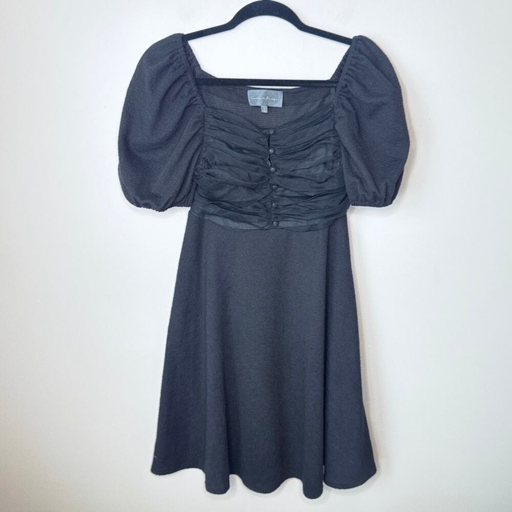 Anthropologie Sunday in Brooklyn Small Ruched Body Swing Mini Dress Puff Sleeve‎